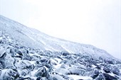 DSCN3788