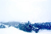 DSCN3798