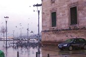 DSCN3869