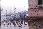 DSCN3870