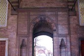 DSCN3873