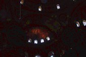 DSCN3895