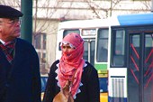 IMG_0017_resize