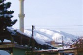 IMG_0058_resize