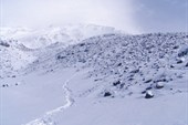 IMG_0103_resize