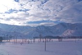 IMG_0111_resize