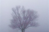 IMG_0130_resize