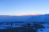 IMG_0186_resize