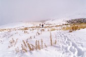 IMG_0218_resize