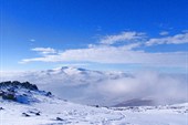 IMG_0240_resize