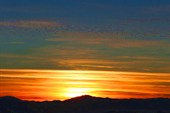 IMG_0295_resize