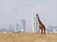 I-город Найроби