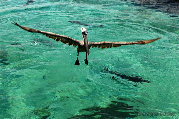 Национальный парк Архипелаг дель Розарио. Карибы