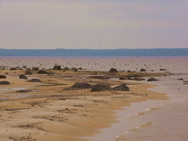 Рыбинское водохранилеще.