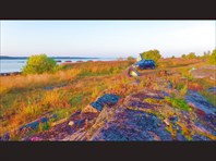 На берегу Белого моря.