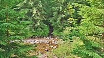IMG_20210715_102833