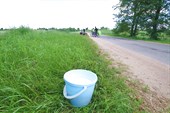 IMG_7879