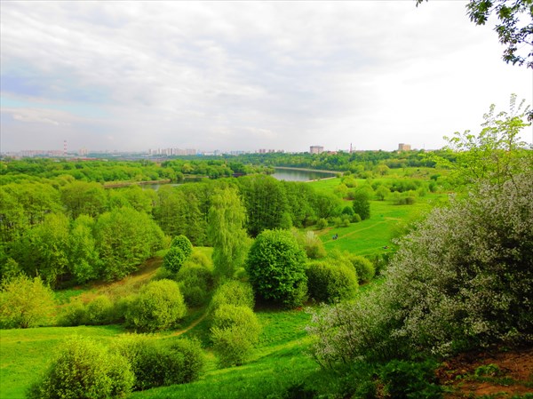 Коломенское, парк