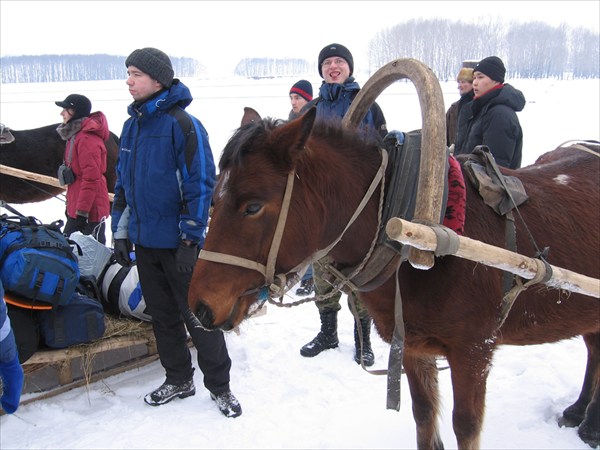 Лошадииии