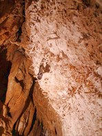 Геликтиты под вторым уступом-пещера Под Каштаном