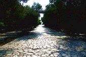 Старая дорога рядом с Акрополем
