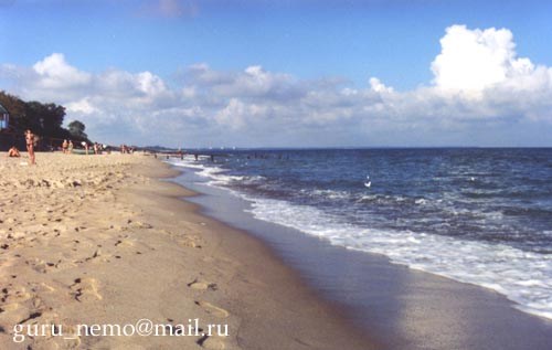Пляжи Зеденоградска