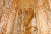 DSC00133_resize