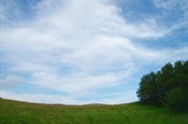 DSC00148_resize
