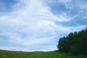 DSC00149_resize
