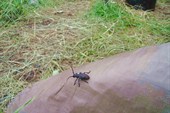 DSC00153_resize