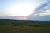DSC00164_resize