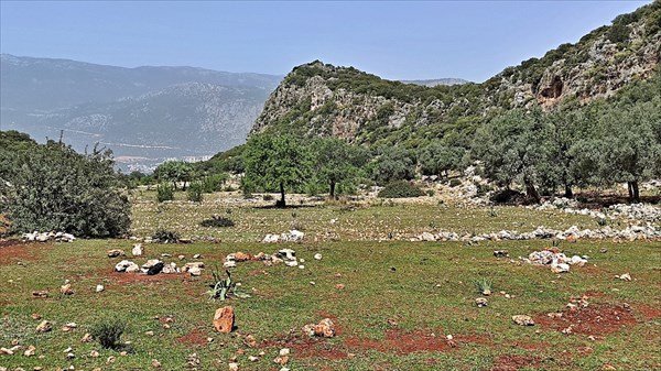 IMG_20220406_132458