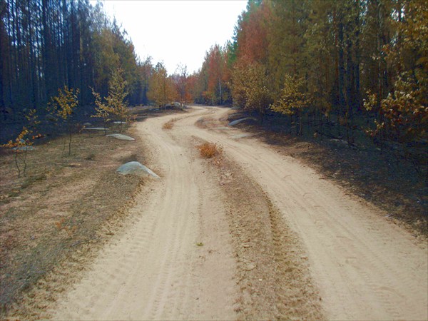 Дорога на Волому.