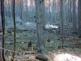 DSC00618