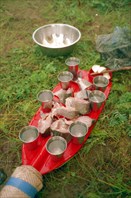 Приполярный