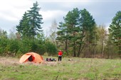 Стоянка  у сосняка