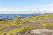 Берег моря в Беломорске.
