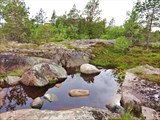 Ванночка с водой.