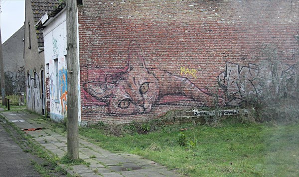 020-Дул
