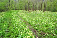 Весенний Экстрим-Марафон 2011