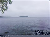 Туман.
