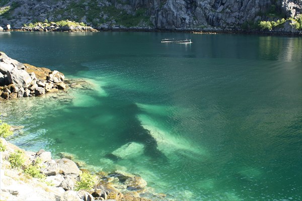 Прозрачность воды в Nusfjord
