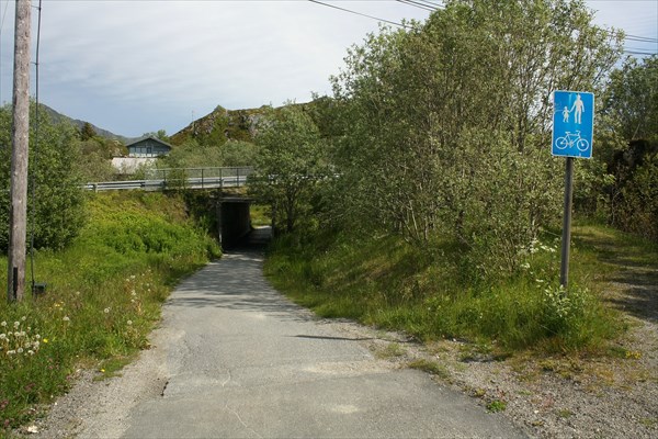 Туннель на велодорожке. Vagan