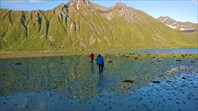 Псевдонаучная экспедиция по исследованию вулканов Morfjorden