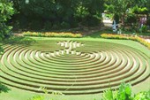 Газонный лабиринт.