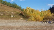 В этом распадке, в этих высоких кустах мы ночевали