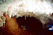 Версальчик в пещере Физтеховская