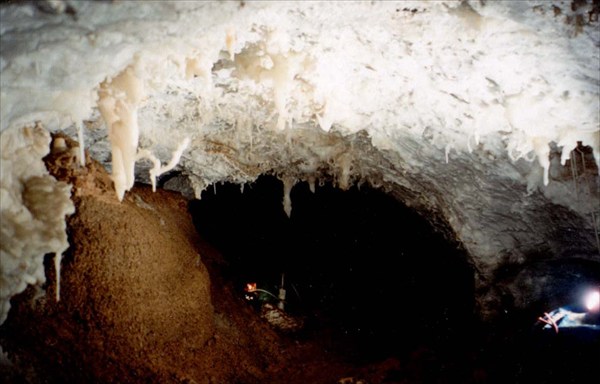 Версальчик в пещере Физтеховская