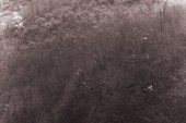 img_066