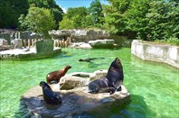 Zoo-hellabrunn-Зоопарк Хеллабрунн